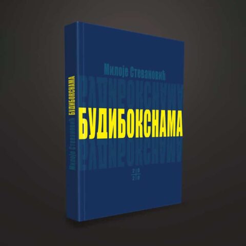 Будибокснама